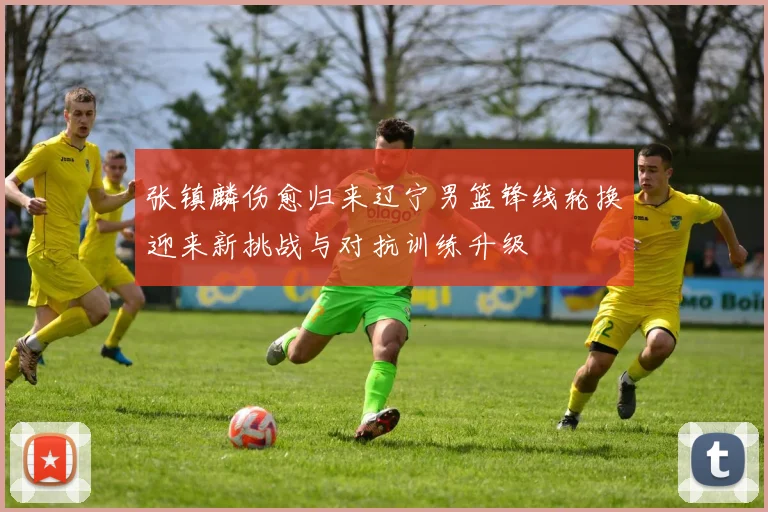 张镇麟伤愈归来辽宁男篮锋线轮换迎来新挑战与对抗训练升级